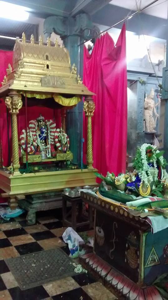 Taramani Sri Prasanna Venkatesa Perumal Temple Pavithrotsavam day 2 2014 13