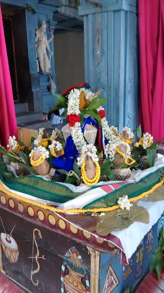 Taramani Sri Prasanna Venkatesa Perumal Temple Pavithrotsavam day 2 2014 14