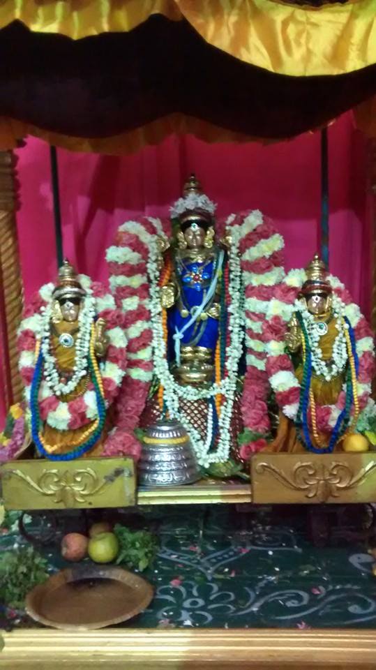 Taramani Sri Prasanna Venkatesa Perumal Temple Pavithrotsavam day 2 2014 15