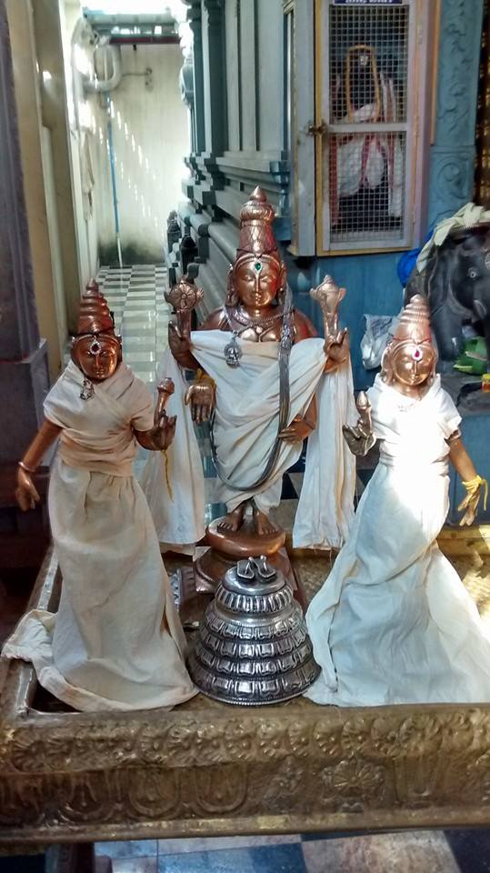 Taramani Sri Prasanna Venkatesa Perumal Temple Pavithrotsavam day 2 2014 16