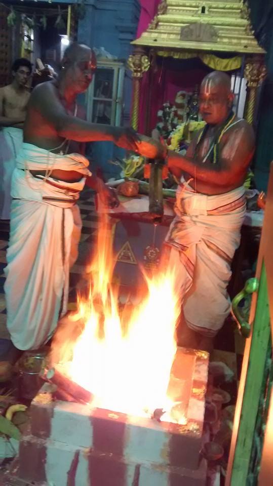 Taramani  Sri Prasanna Venkatesa Perumal Temple Pavithrotsavam day 3 2014 02