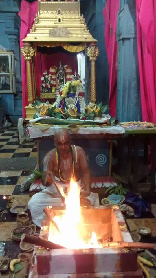 Taramani  Sri Prasanna Venkatesa Perumal Temple Pavithrotsavam day 3 2014 04