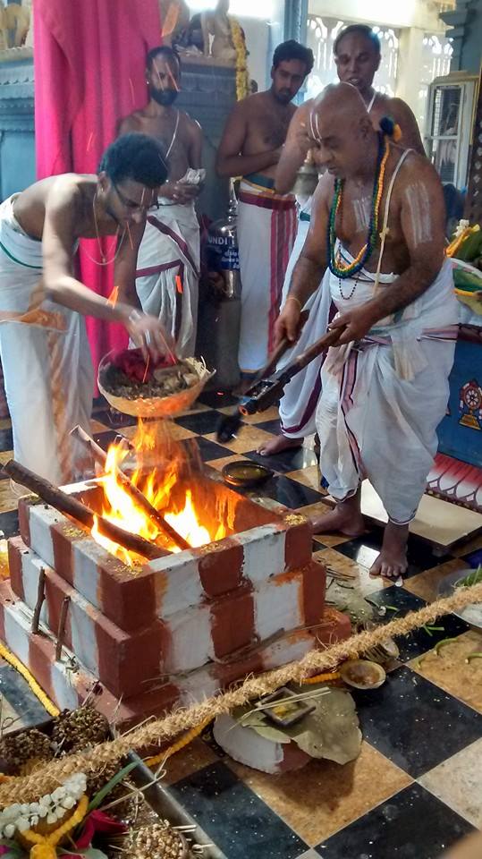 Taramani  Sri Prasanna Venkatesa Perumal Temple Pavithrotsavam day 3 2014 06