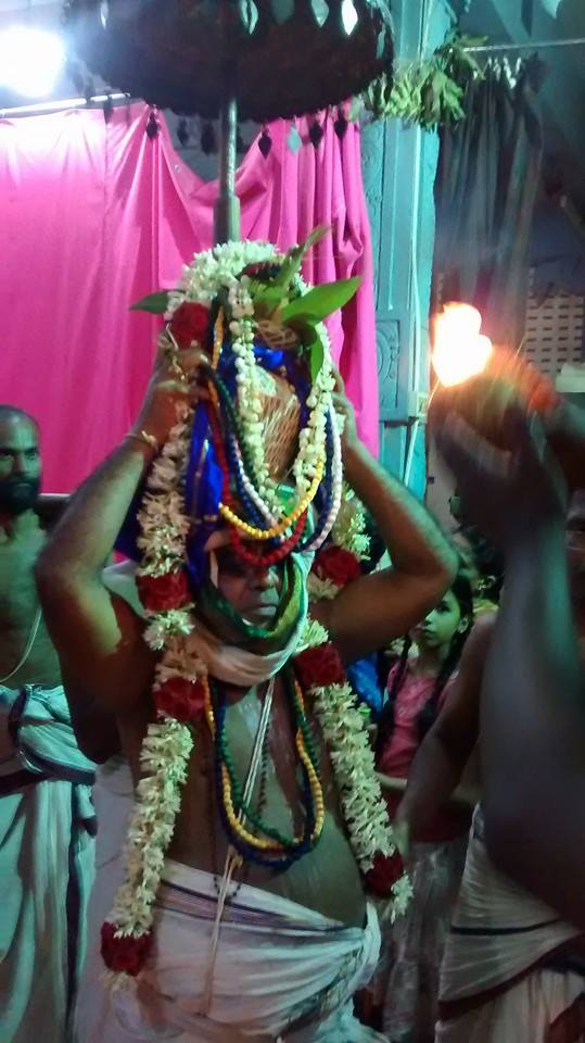 Taramani  Sri Prasanna Venkatesa Perumal Temple Pavithrotsavam day 3 2014 09