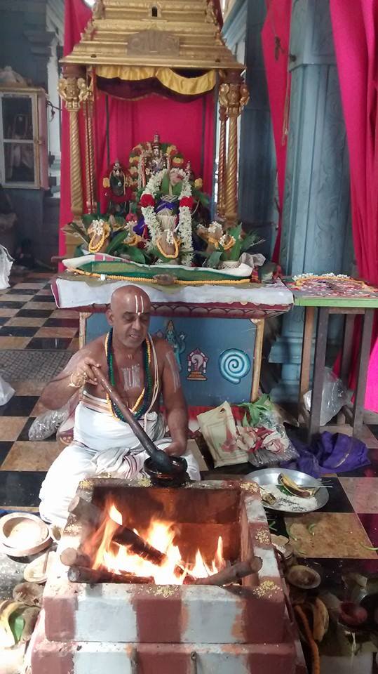 Taramani  Sri Prasanna Venkatesa Perumal Temple Pavithrotsavam day 3 2014 12