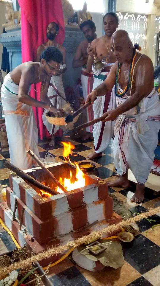 Taramani  Sri Prasanna Venkatesa Perumal Temple Pavithrotsavam day 3 2014 13