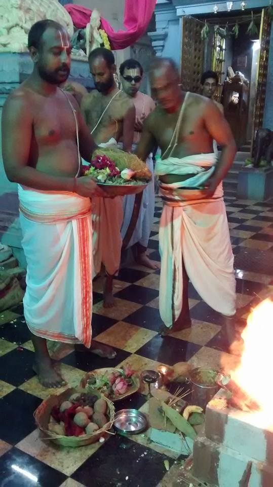 Taramani  Sri Prasanna Venkatesa Perumal Temple Pavithrotsavam day 3 2014 14