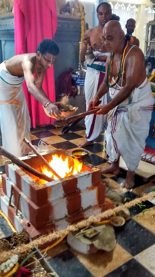 Taramani  Sri Prasanna Venkatesa Perumal Temple Pavithrotsavam day 3 2014 15