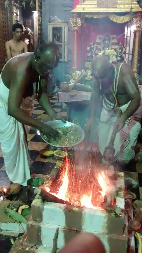 Taramani  Sri Prasanna Venkatesa Perumal Temple Pavithrotsavam day 3 2014 17