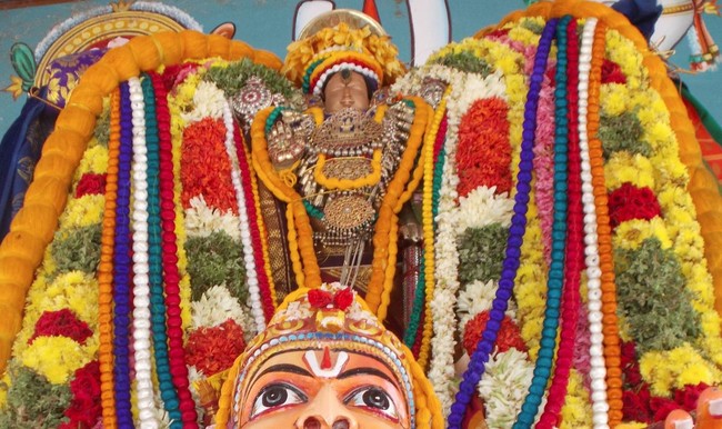 Therazhundur Amaruviappan Pavithrotsava Udhaya Garuda Sevai 2014 01