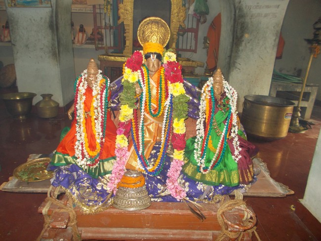 Therazhundur Sri Govindarajan Sri ranganathan Sannadhi Pavithrotsavam  Thirumanjanam 2014 13