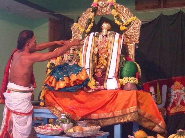 Thillaisthanam Srinivasa Perumal Temple Pavithrotsavam  2014 01