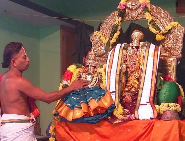 Thillaisthanam Srinivasa Perumal Temple Pavithrotsavam  2014 02