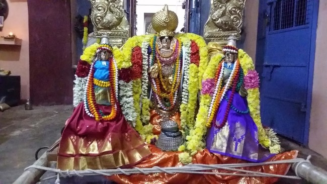 Thillaisthanam Srinivasa Perumal Temple Pavithrotsavam  2014 06