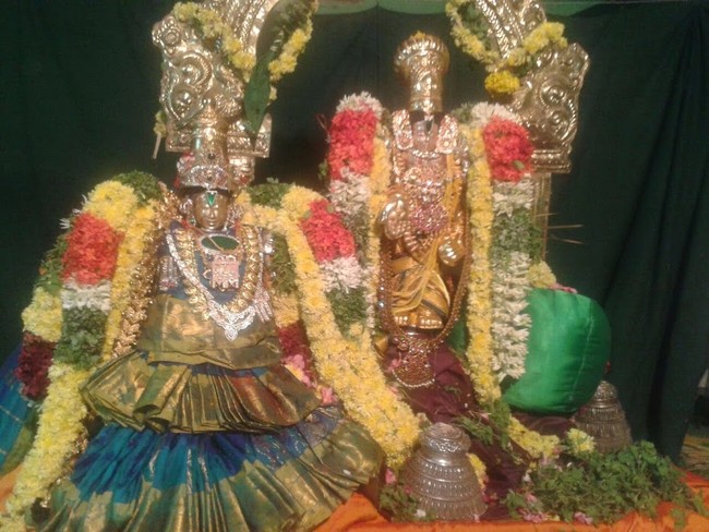 Thillaisthanam Srinivasa Perumal Temple Pavithrotsavam  2014 07