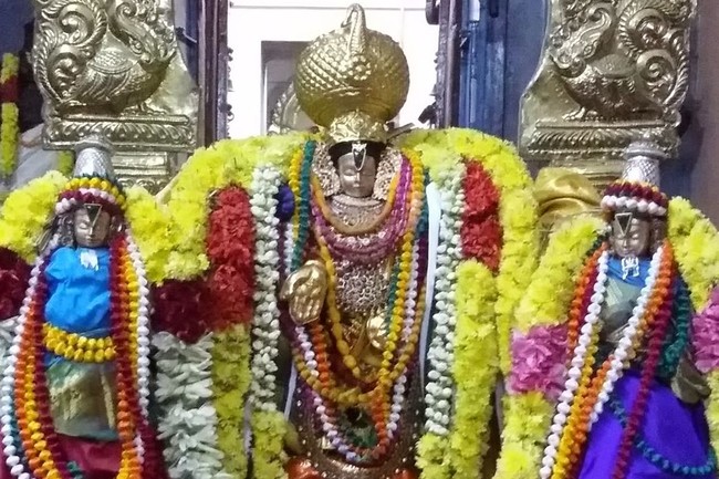 Thillaisthanam Srinivasa Perumal Temple Pavithrotsavam  2014 08