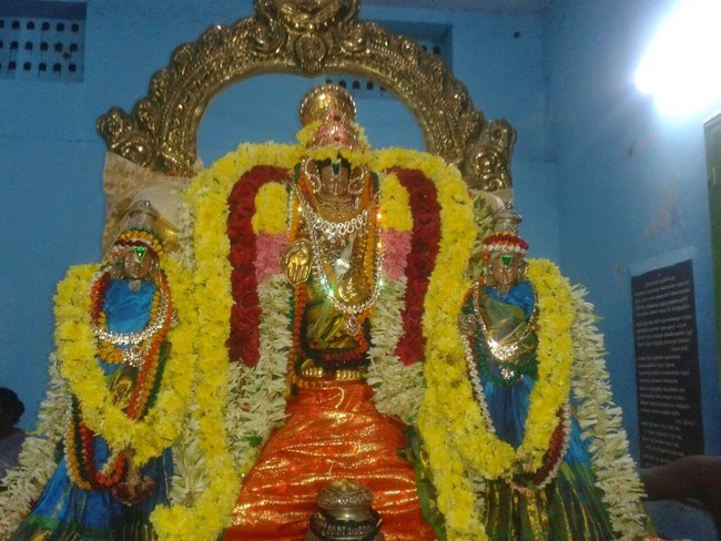 Thillaisthanam Srinivasa Perumal Temple Pavithrotsavam  2014 09