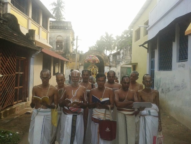 Thillaisthanam Srinivasa Perumal Temple Pavithrotsavam  2014 11