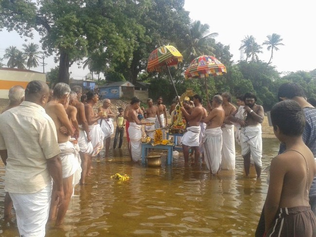 Thillaisthanam Srinivasa Perumal Temple Pavithrotsavam  2014 12