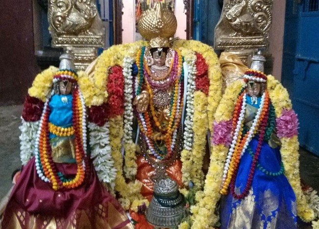 Thillaisthanam Srinivasa Perumal Temple Pavithrotsavam  2014 16