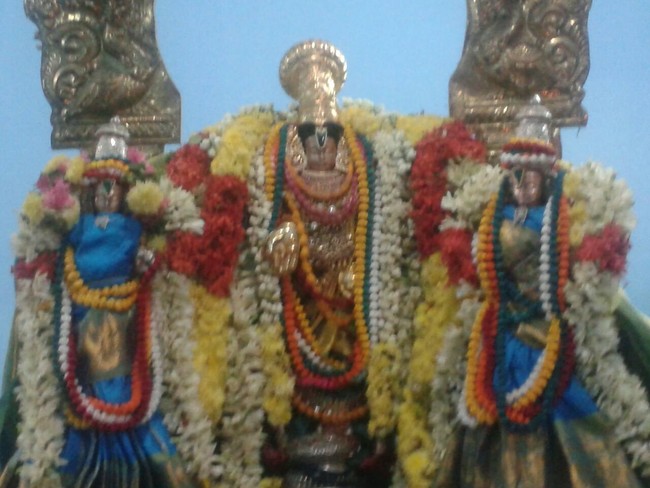 Thillaisthanam Srinivasa Perumal Temple Pavithrotsavam  2014 21