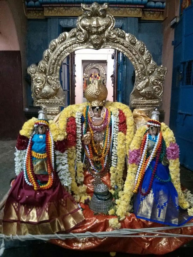 Thillaisthanam Srinivasa Perumal Temple Pavithrotsavam  2014 22