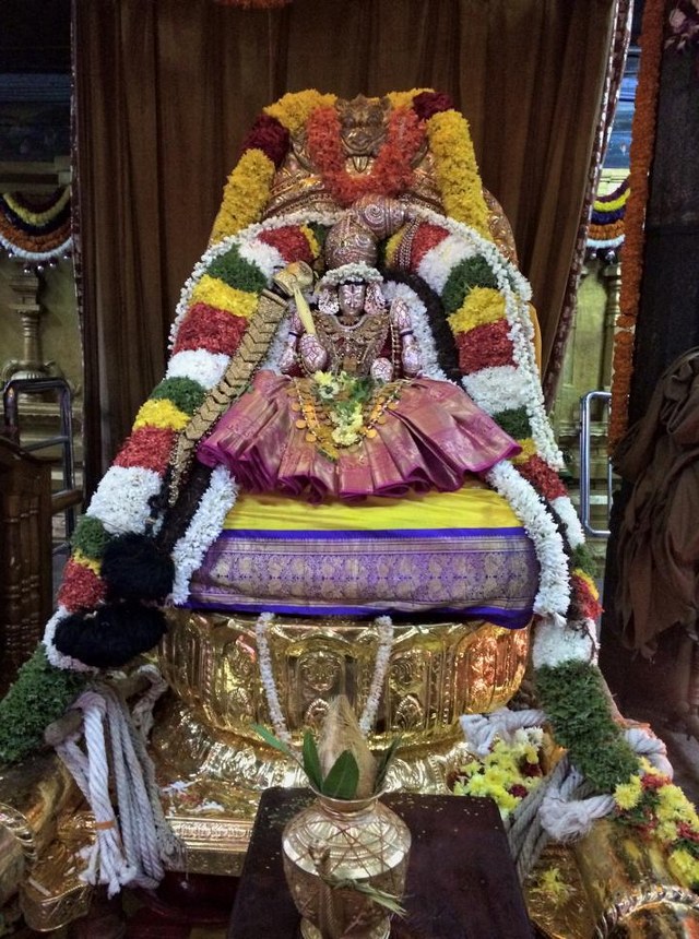 Thiruchanoor Sri Padmavathi Thayar Temple Kartheeka Brahmotsavam Dwajarohanam-201401