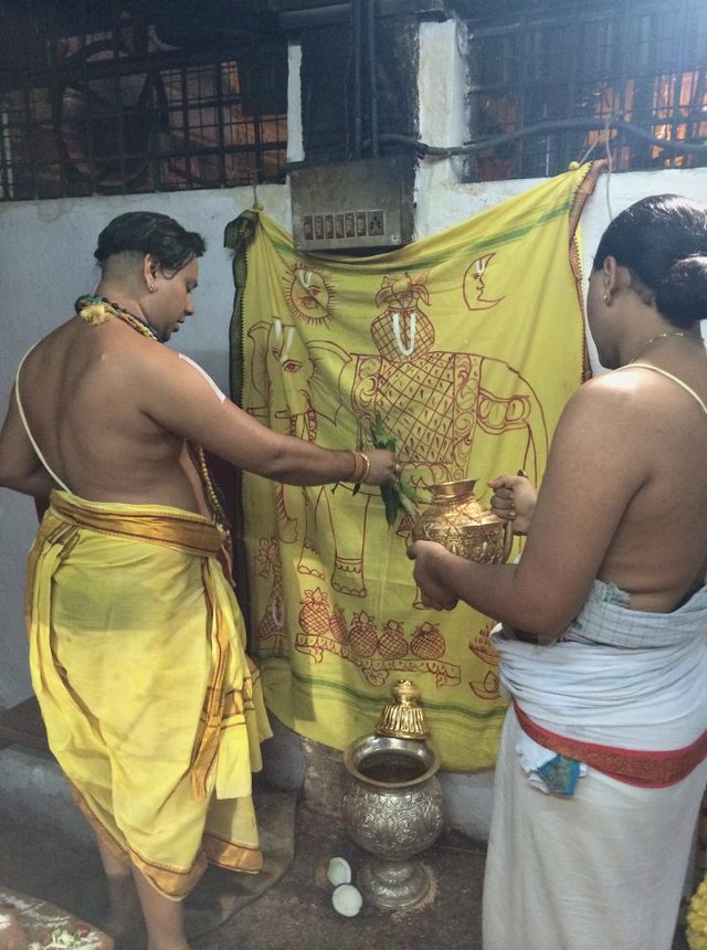 Thiruchanoor Sri Padmavathi Thayar Temple Kartheeka Brahmotsavam Dwajarohanam-201408