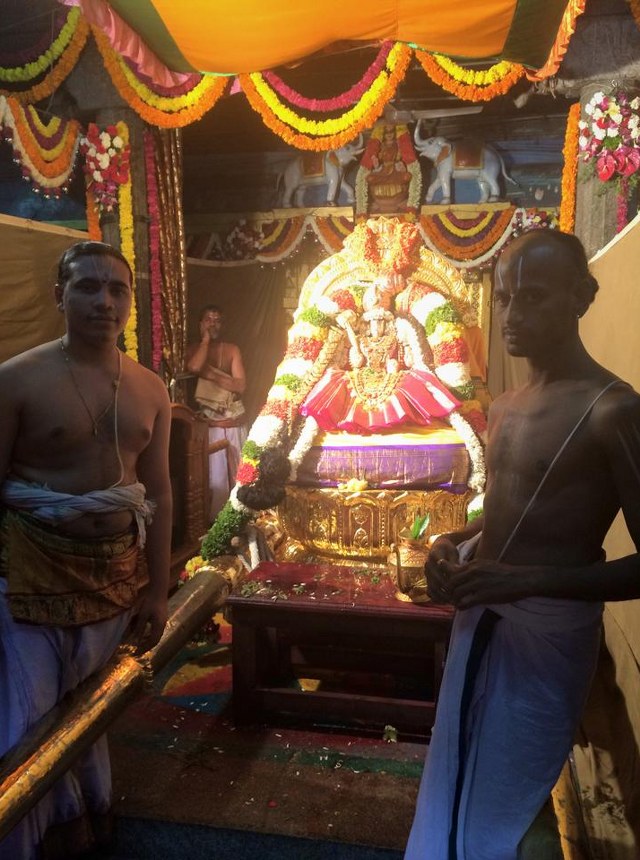 Thiruchanoor Sri Padmavathi Thayar Temple Kartheeka Brahmotsavam Dwajarohanam-201410
