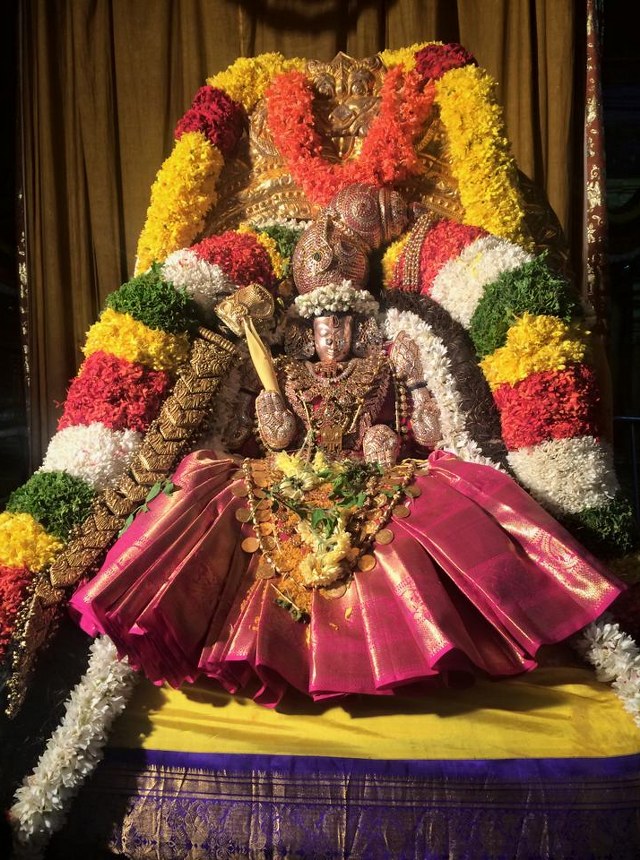 Thiruchanoor Sri Padmavathi Thayar Temple Kartheeka Brahmotsavam Dwajarohanam-201412