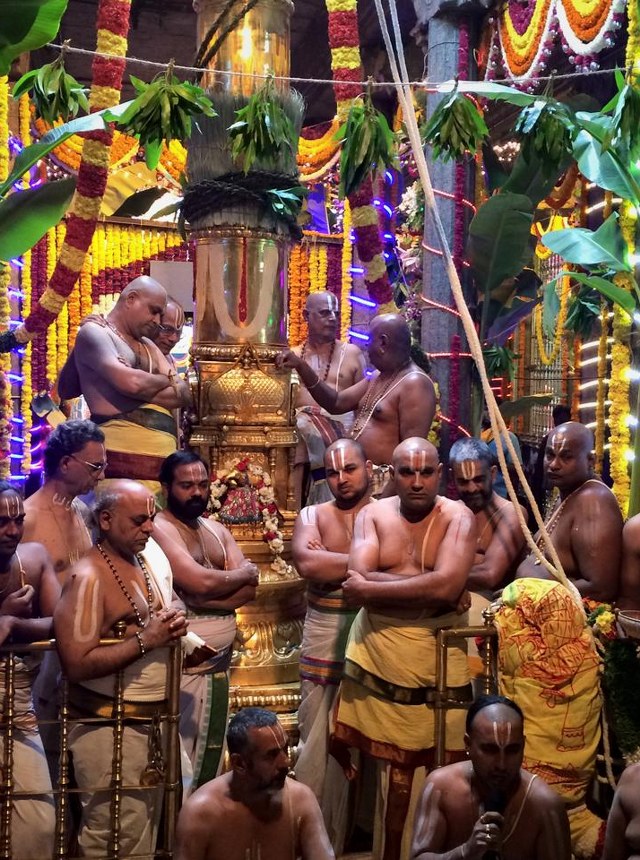 Thiruchanoor Sri Padmavathi Thayar Temple Kartheeka Brahmotsavam Dwajarohanam-201414