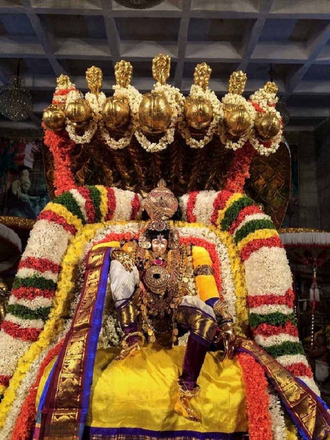 Thiruchanoor Sri Padmavathi Thayar Temple Karthika Brahmotsavam14