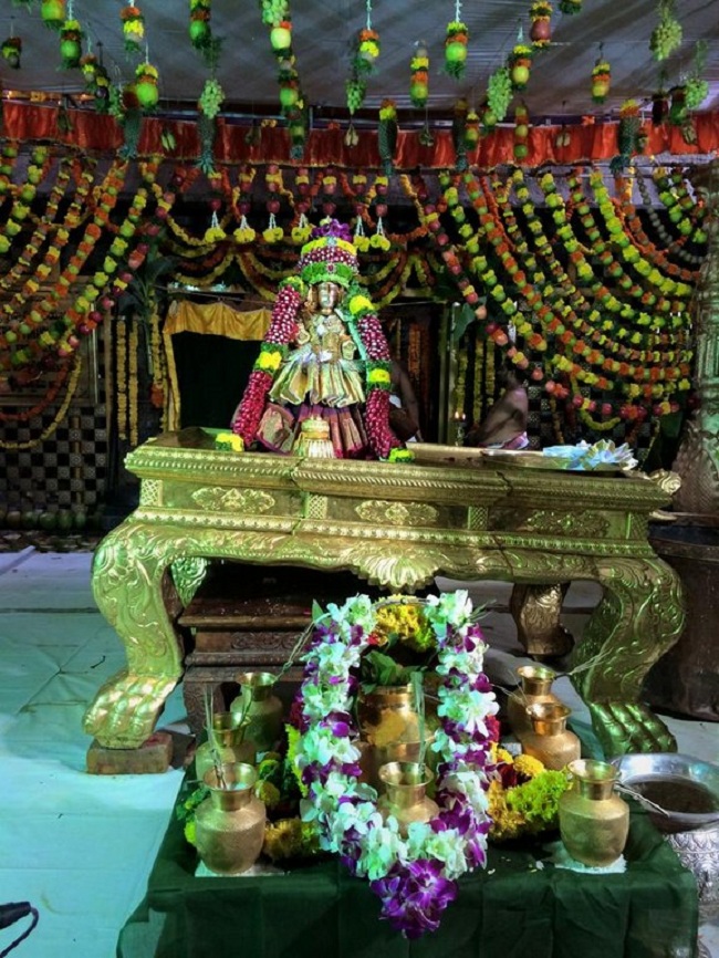 Thiruchanoor Sri Padmavathi Thayar Temple Karthika Brahmotsavam14