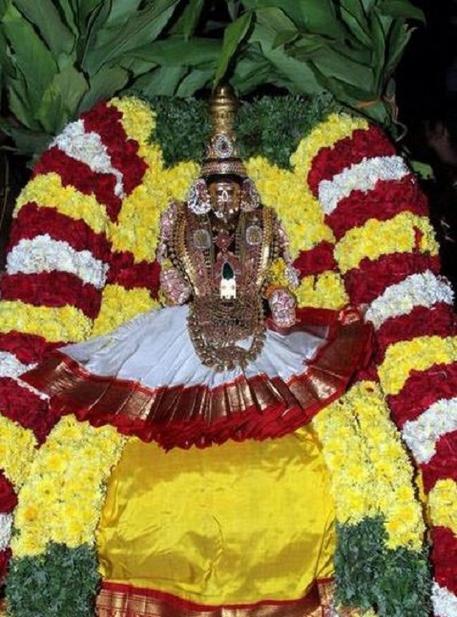 Thiruchanoor Sri Padmavathi Thayar Temple Karthika Brahmotsavam16