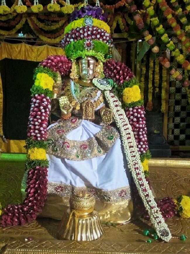 Thiruchanoor Sri Padmavathi Thayar Temple Karthika Brahmotsavam5