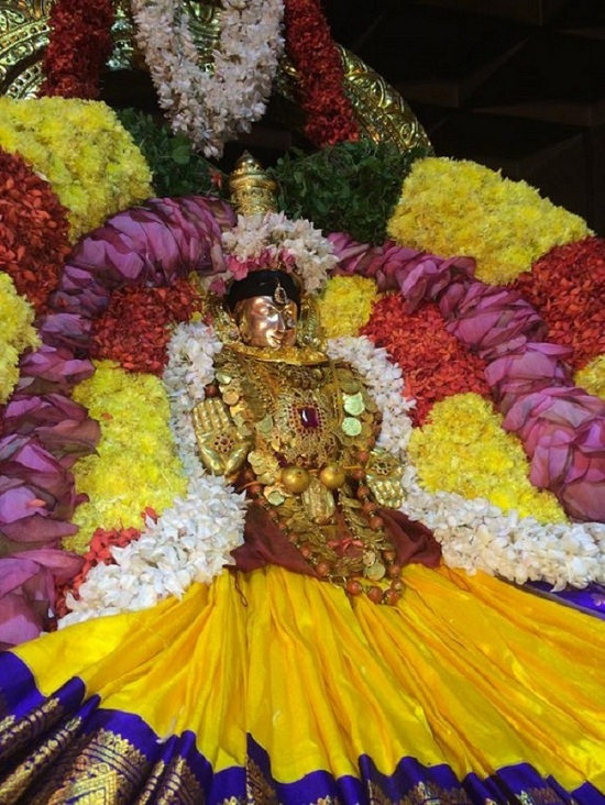 Thiruchanoor Sri Padmavathi Thayar Temple Uthirada Nakshatra Utsavam 5