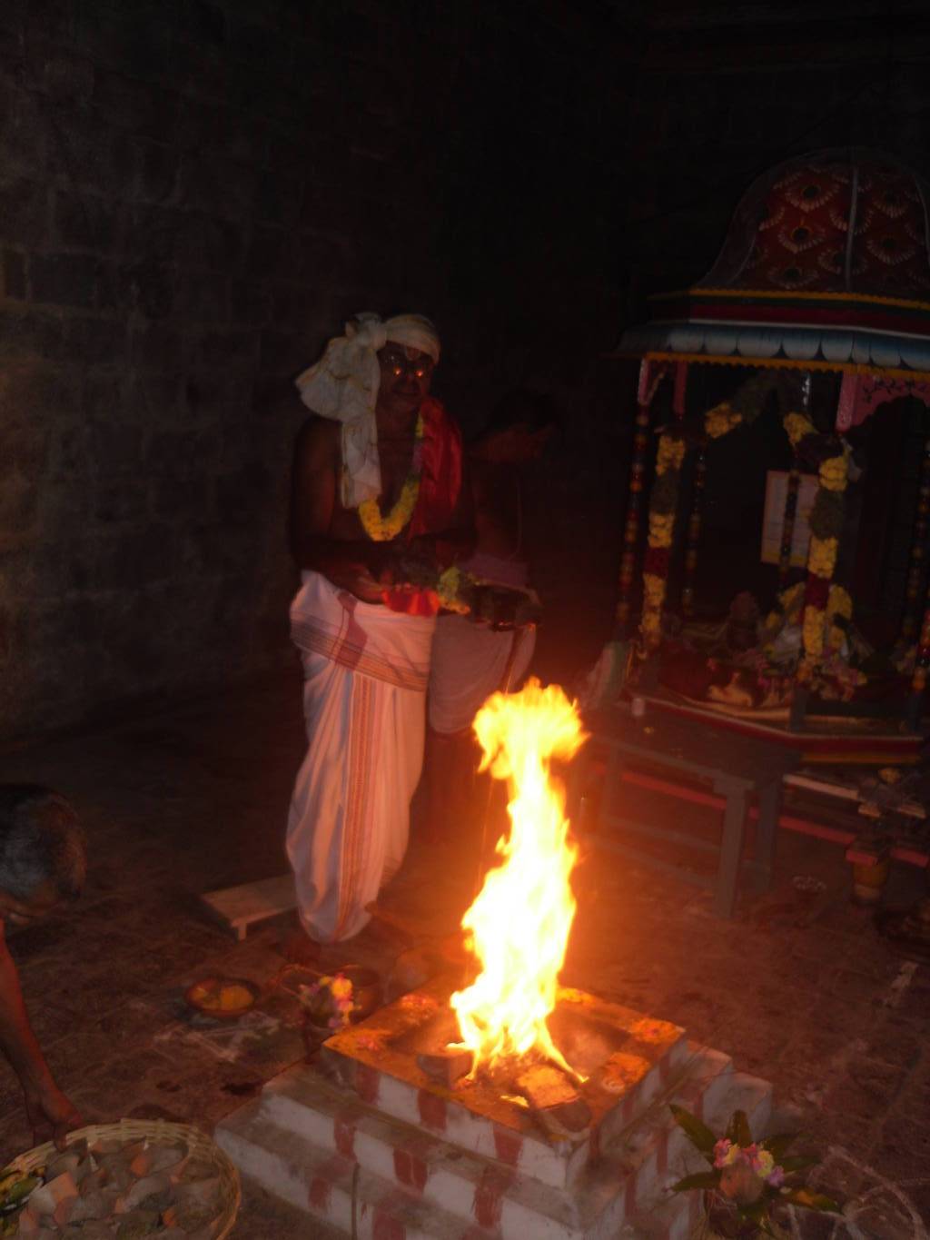 Thirukannamangai Sri Bhatkhavatsala Perumal Temple Pavithrotsavam  -  Day 2 2014 09
