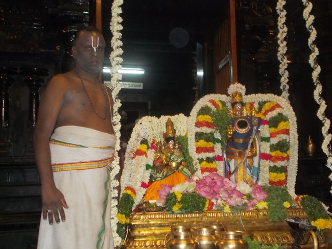 Thirukooadal Azhagar Aippasi Sravana Unjal Sevai 2014 3