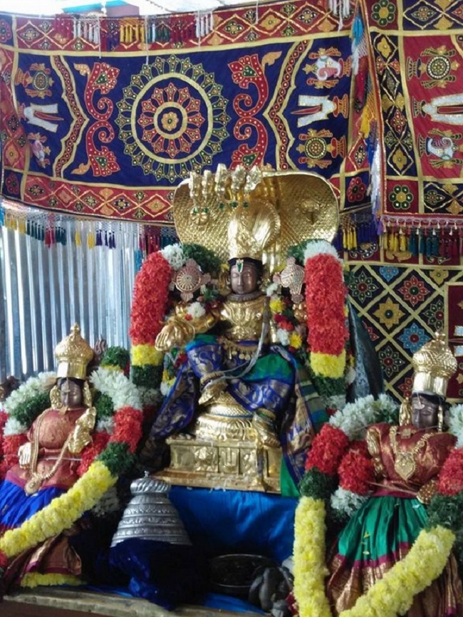 Thirunangur ThiruVaikuntaVinnagaram Sri Vaikunta Natha Perumal Temple Maha Samprokshanam22