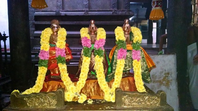 Thiruvahindrapuram Sri Devanathan Perumal Temple Mudhal Azhwars Thirunakshatra Utsavam10