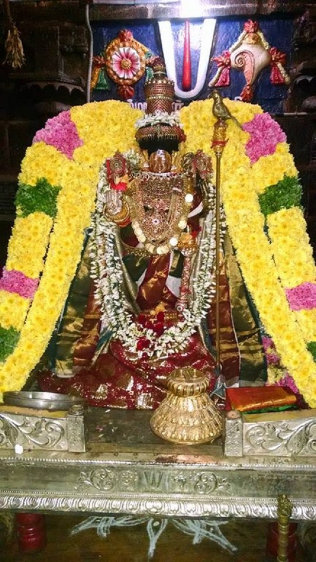 Thiruvahindrapuram Sri Devanathan Perumal Temple Mudhal Azhwars Thirunakshatra Utsavam11
