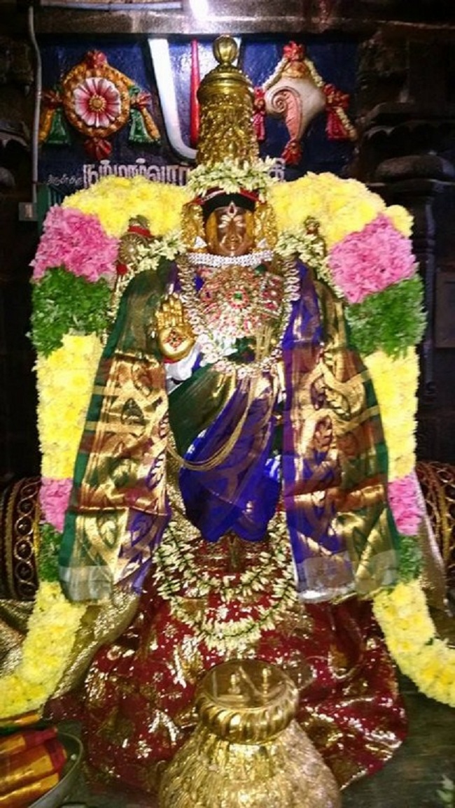 Thiruvahindrapuram Sri Devanathan Perumal Temple Mudhal Azhwars Thirunakshatra Utsavam13
