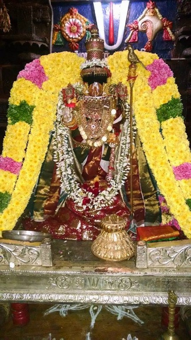 Thiruvahindrapuram Sri Devanathan Perumal Temple Mudhal Azhwars Thirunakshatra Utsavam15