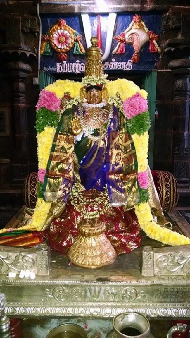 Thiruvahindrapuram Sri Devanathan Perumal Temple Mudhal Azhwars Thirunakshatra Utsavam16