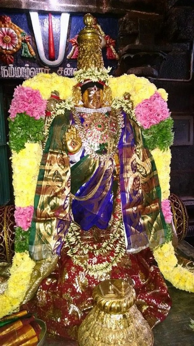 Thiruvahindrapuram Sri Devanathan Perumal Temple Mudhal Azhwars Thirunakshatra Utsavam17