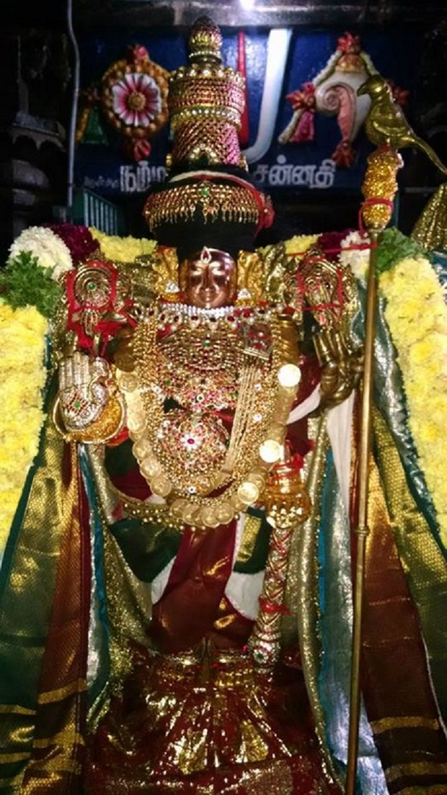 Thiruvahindrapuram Sri Devanathan Perumal Temple Mudhal Azhwars Thirunakshatra Utsavam2
