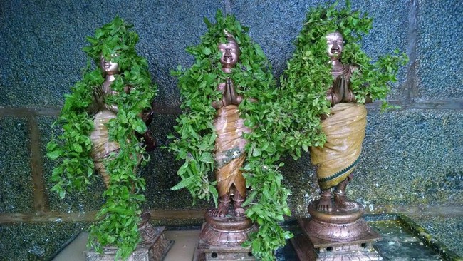 Thiruvahindrapuram Sri Devanathan Perumal Temple Mudhal Azhwars Thirunakshatra Utsavam3