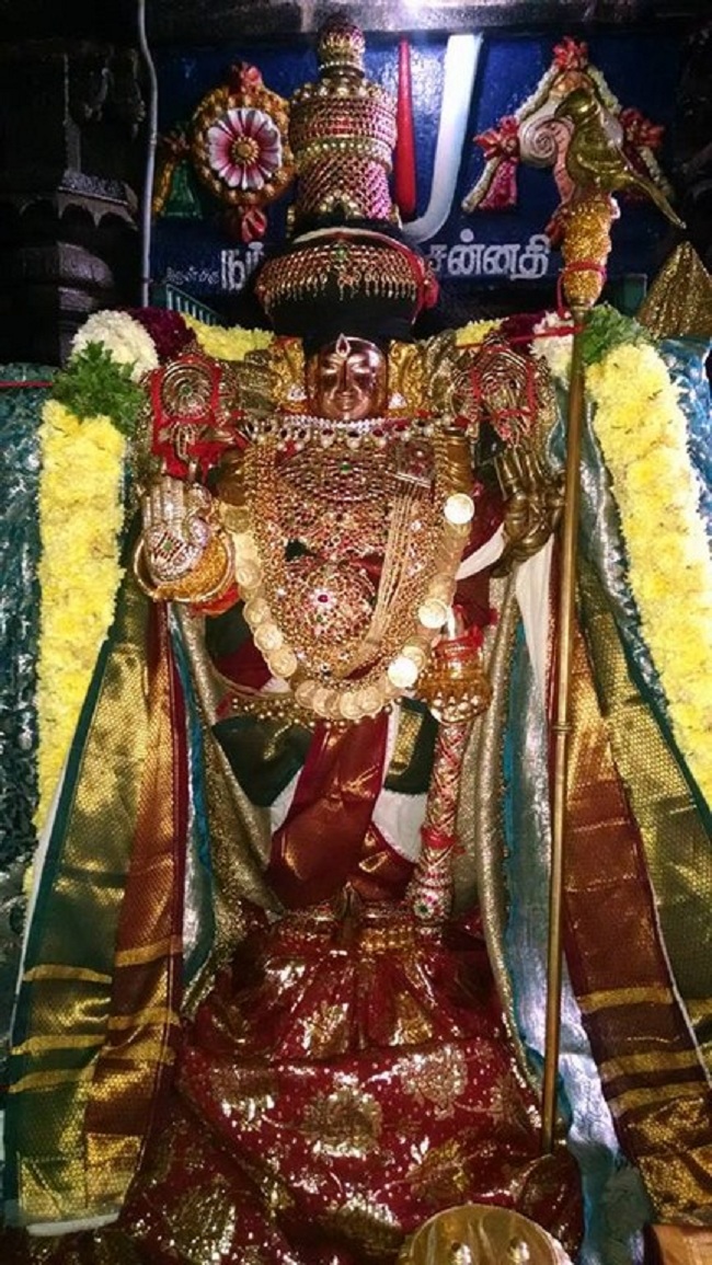 Thiruvahindrapuram Sri Devanathan Perumal Temple Mudhal Azhwars Thirunakshatra Utsavam4