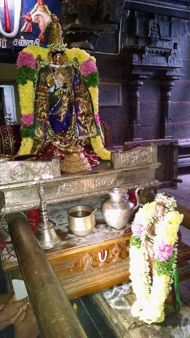 Thiruvahindrapuram Sri Devanathan Perumal Temple Mudhal Azhwars Thirunakshatra Utsavam7