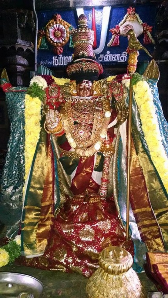 Thiruvahindrapuram Sri Devanathan Perumal Temple Mudhal Azhwars Thirunakshatra Utsavam8